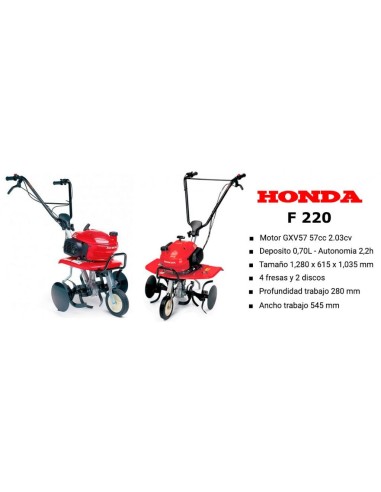 MOTOAZADA HONDA F220