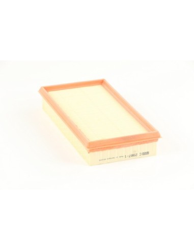 FILTRO DE AIRE MANN C2987/1