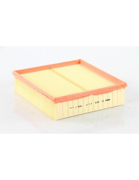 FILTRO DE AIRE MANN C22117