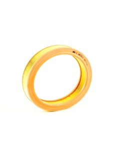 FILTRO DE AIRE MANN C2873/1