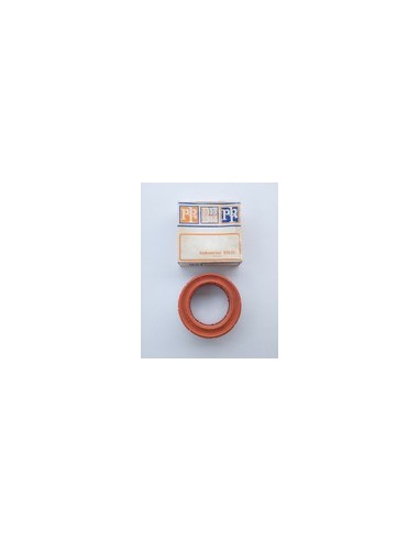 FILTRO AIRE  PBR AI-3604