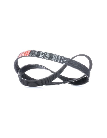 CORREA  GATES 6PK1025